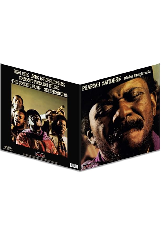 Amazon.com: Wisdom Through Music - Gatefold Vinyl: CDs & Vinyl